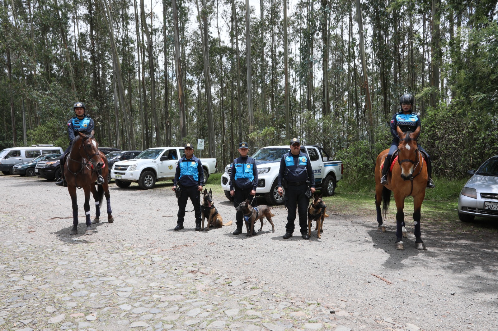 Plan operativo